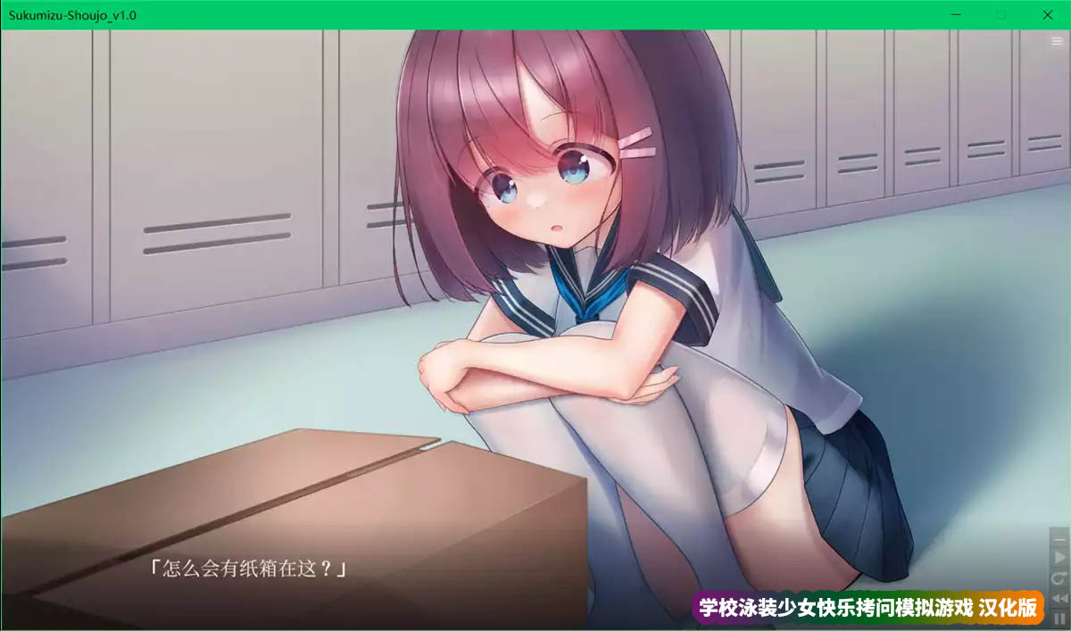 学校校园泳装少女快乐拷问模拟游戏 官方中文版[新作/CV][网盘下载]