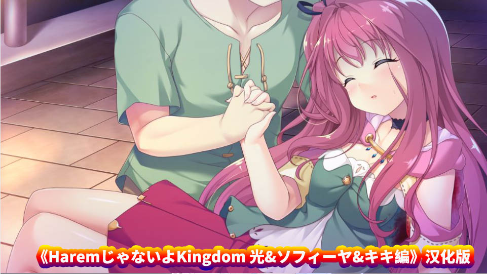 [ADV/Galgame] HaremじゃないよKingdom 光&ソフィーヤ&キキ編 AI汉化[百度网盘]