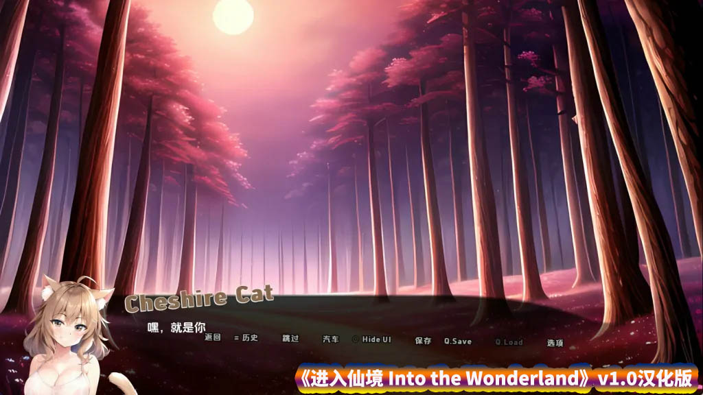 【SLG游戏】进入仙境 Into the Wonderland v1.0汉化版【安卓+PC/百度网盘】