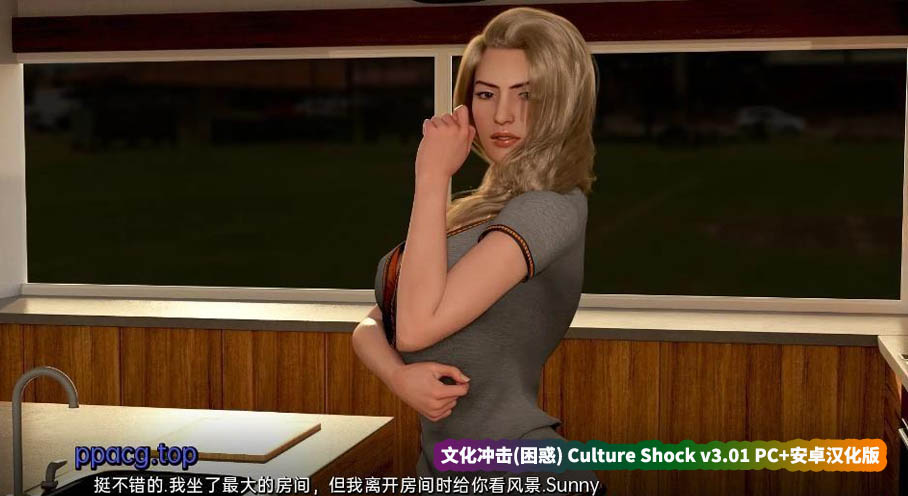 [SLG/汉化/动态] 文化冲击(困惑) Culture Shock v3.01 PC+安卓汉化版 [微云直连]