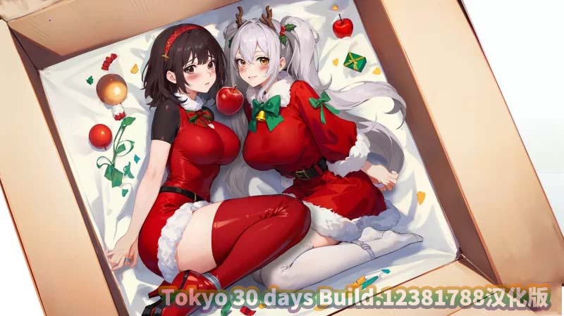 [新作/SLG/官中]房客撬房东 Tokyo 30 days Build.12381788汉化[百度网盘]