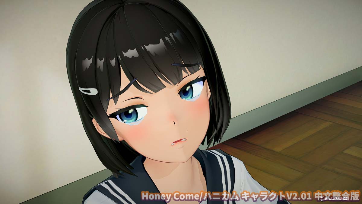 Honey Come /ハニカム キャラクトV2.01 中文不骑马整合版