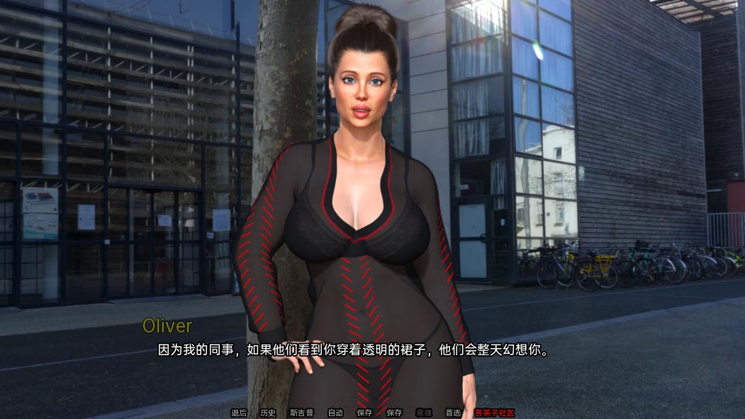 完美的家庭主妇 Perfect Housewife v2405 PC+安卓机翻汉化