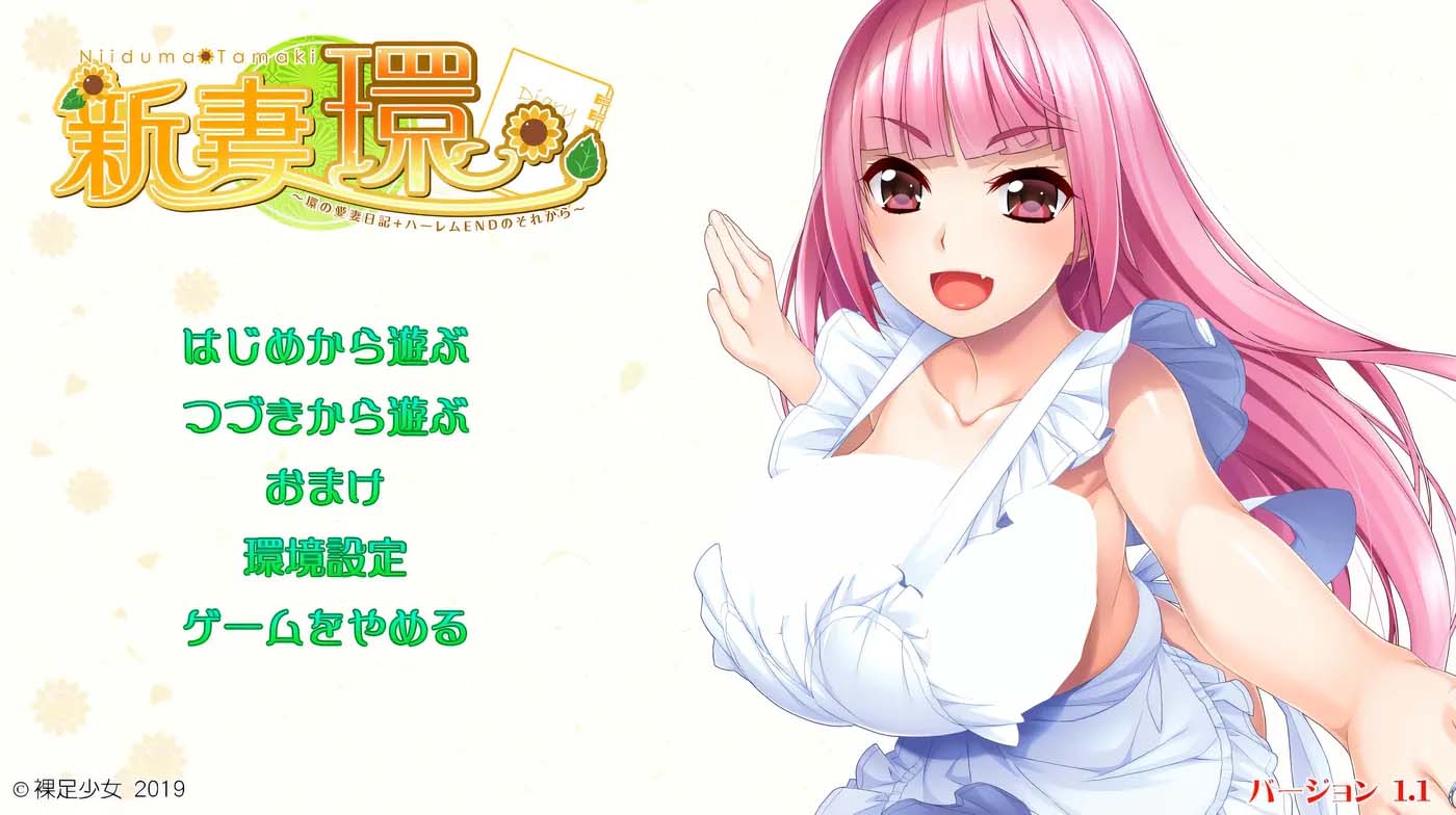 [ADV] 新妻环 环的爱妻日记 + 后来的后宫结局Ver1.1 汉化版+全CG存档 [2.2G]