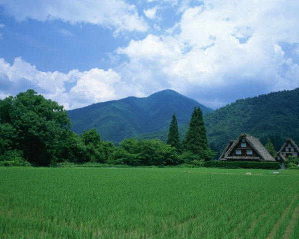 自动化编程基础知识刘松