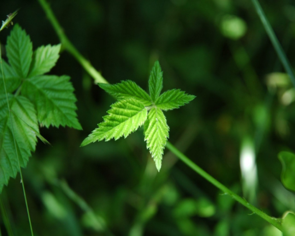 在广州的所有网红，网络安全主题班会